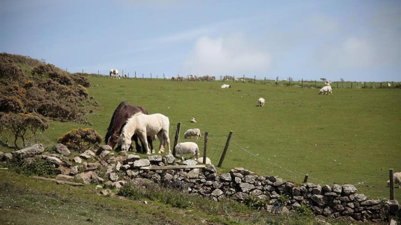 Glebe Farm Villa Rhossili Eksteriør billede